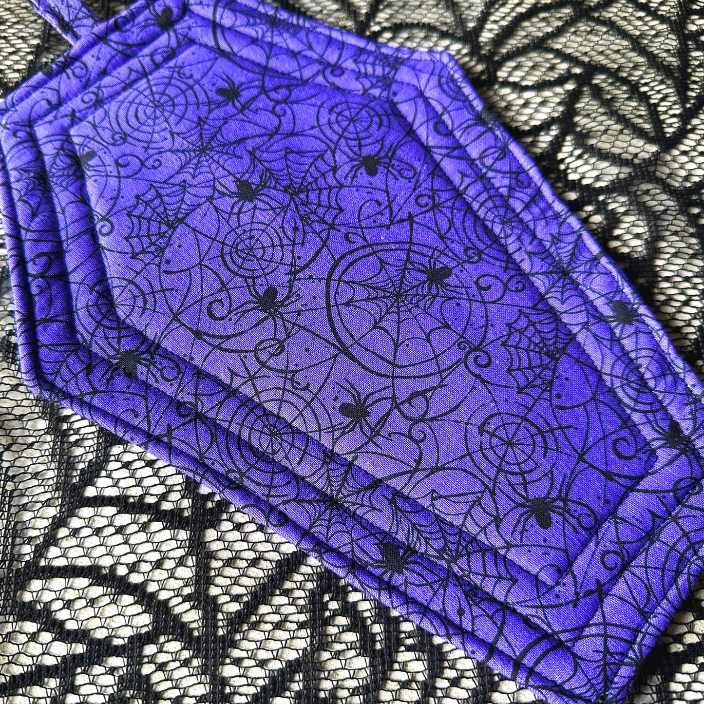 Coffin Pot Holder W/ Spiderwebs